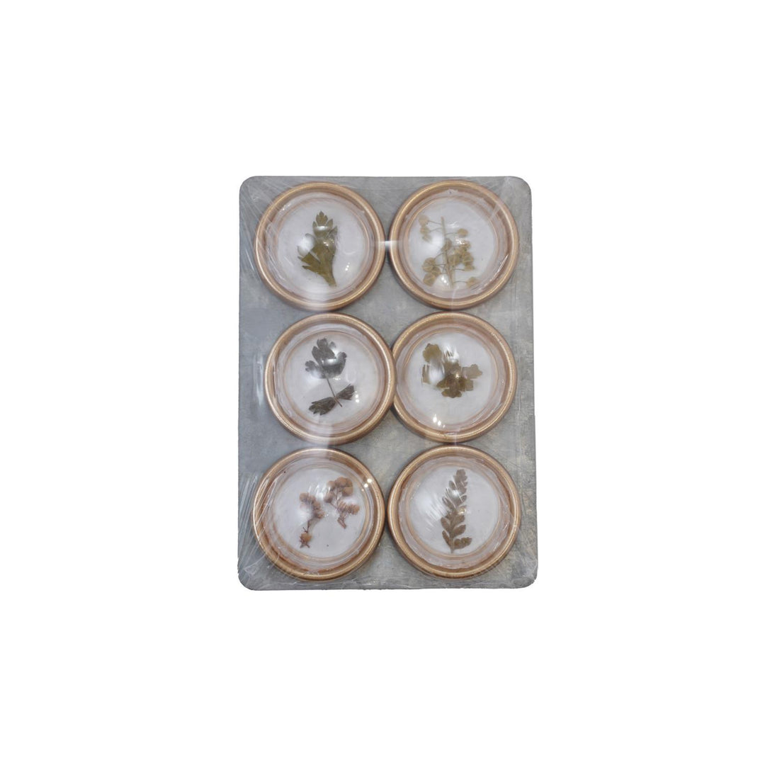 s/6 Resin Convex Magnets on Metal Card with Botanicals