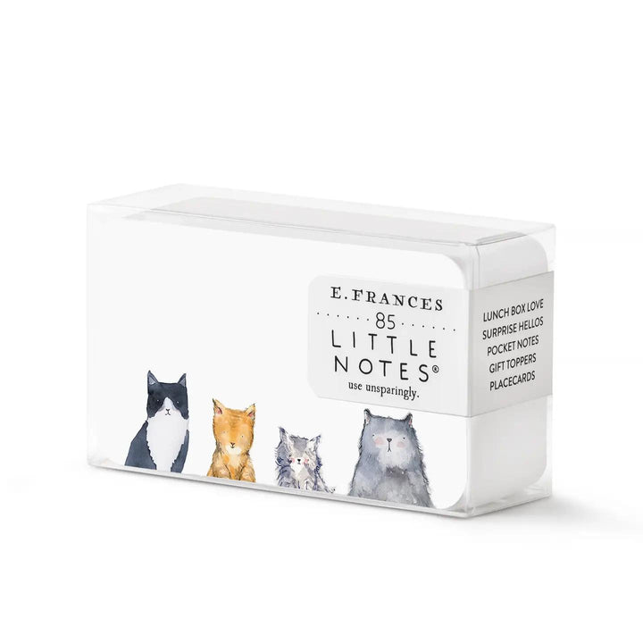 Little Notes Cards