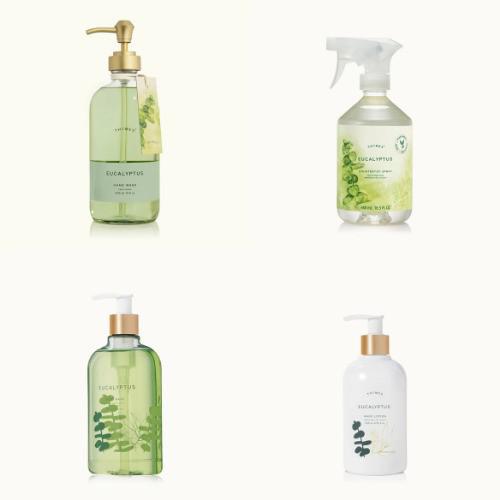 Eucalyptus - Thymes