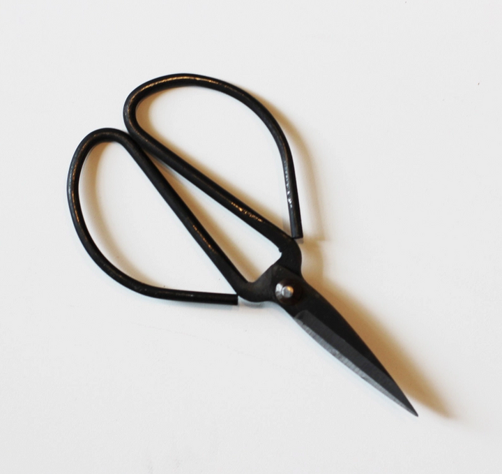 Forged Steel Pruning Sheers