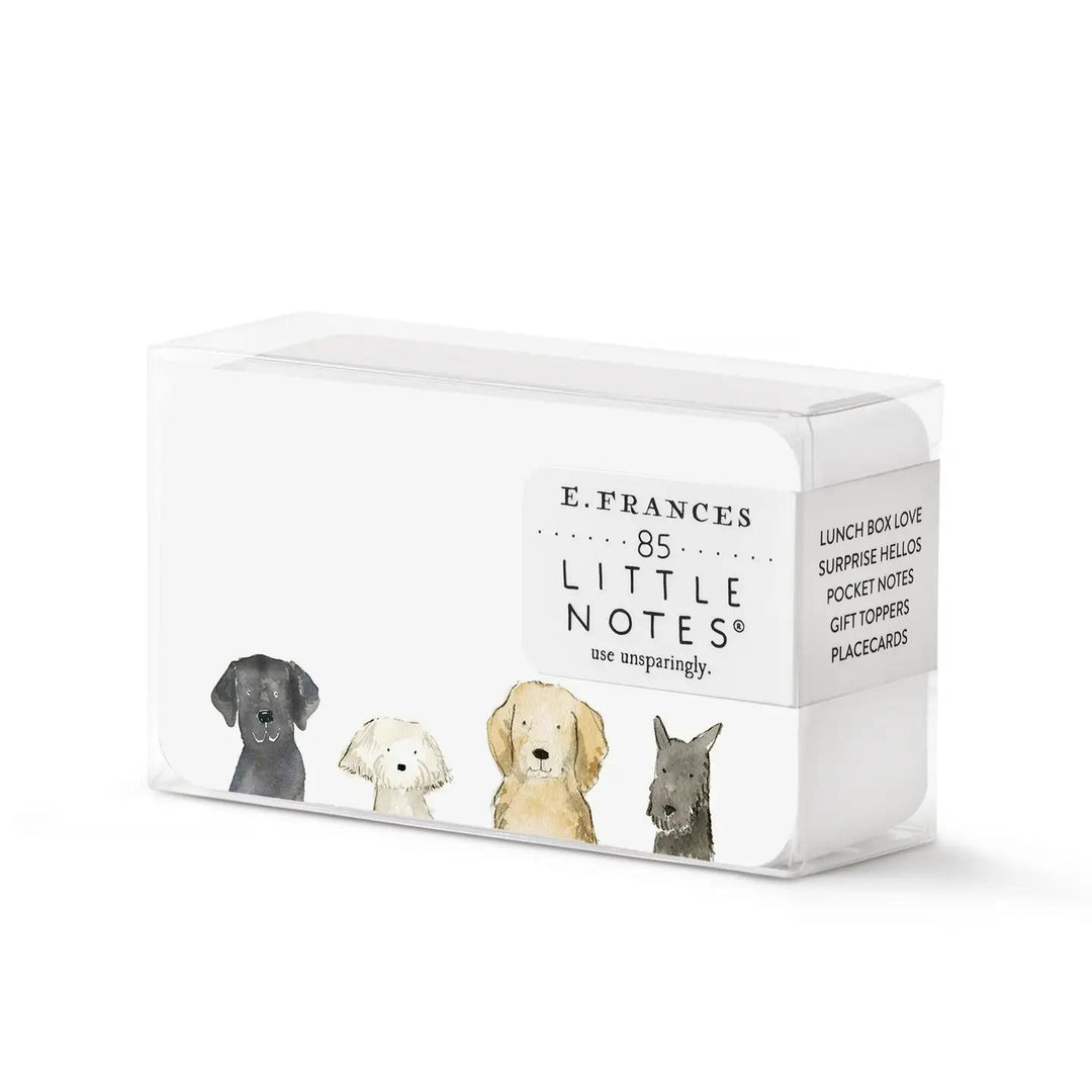 Little Notes Cards