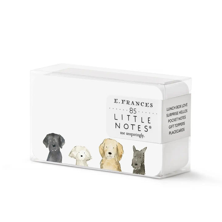 Little Notes Cards