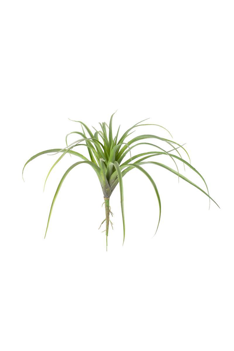 Artificial Air Plant