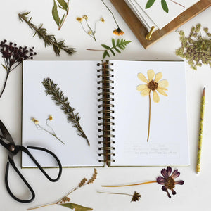 Fern Herbarium Journal, Forest Green - June & December