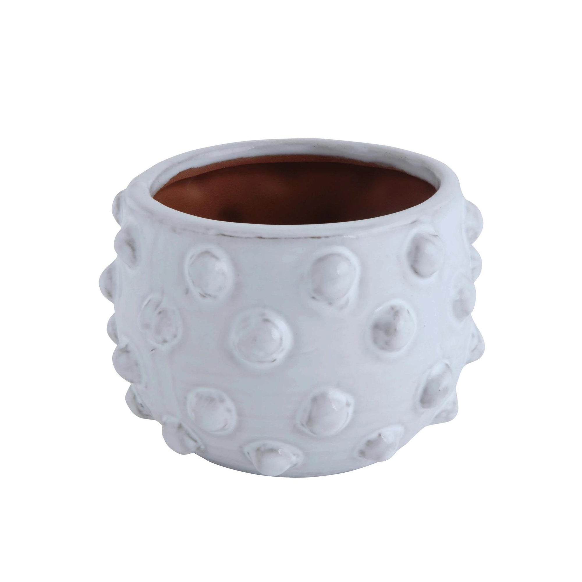 Planter with Raised Dots